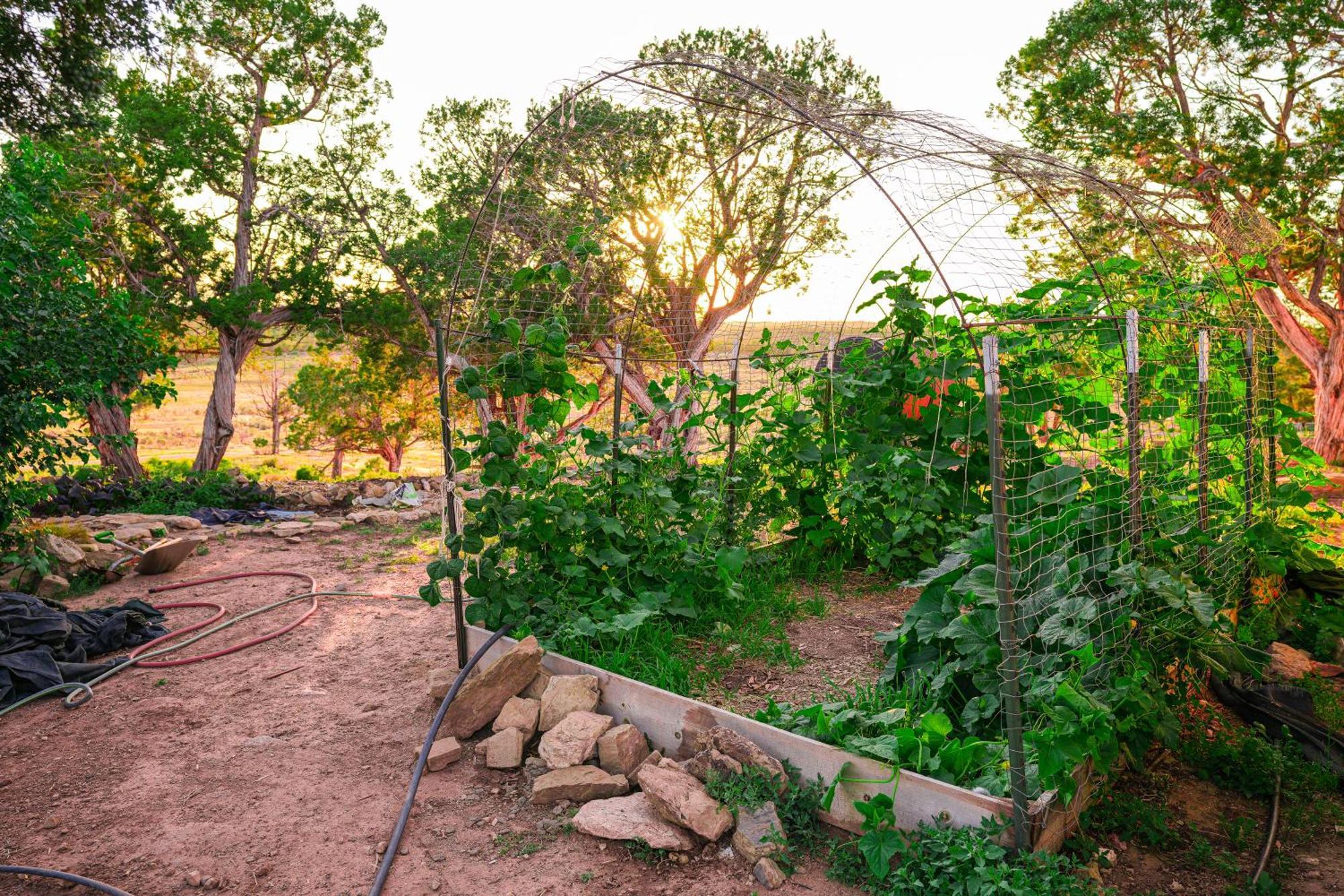 Ranch At Mesa Verde Cortez Exterior photo
